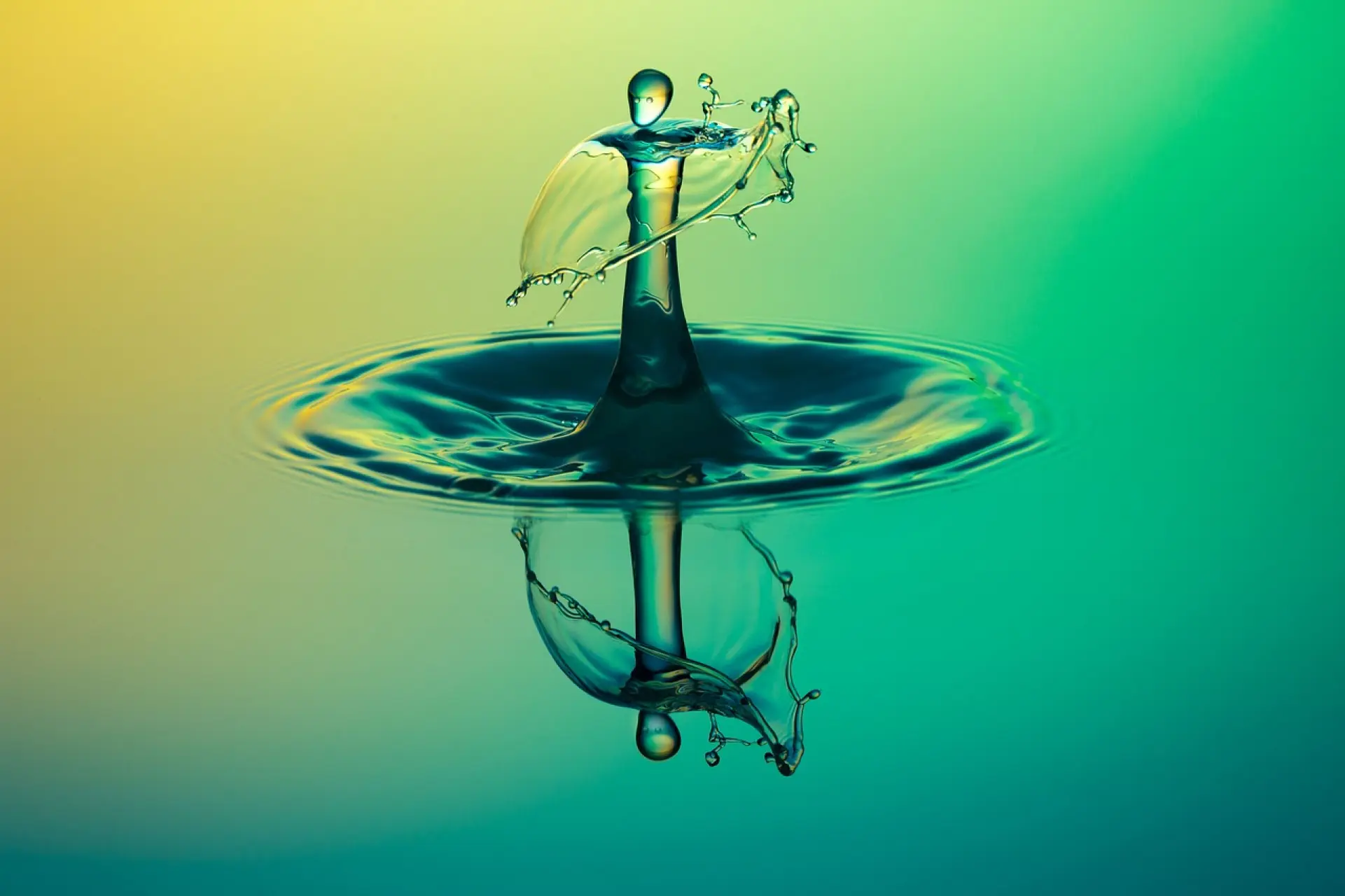 drop, splash, impact, ripples, water, ripple effect, waves, macro, drip, liquid, surface tension, surface, water surface, droplet, drop of water, water reflection, nature, clear water, mirroring, mirror image, reflection, water, water, water, water, water, reflection