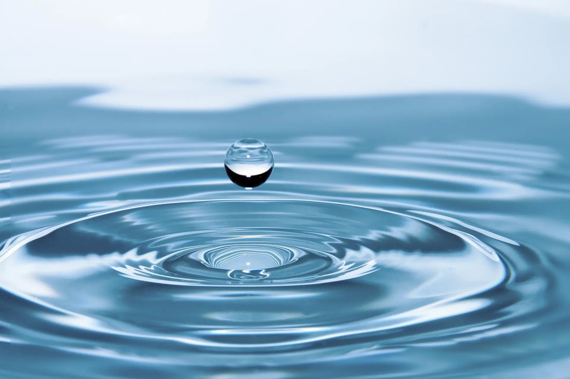 drop of water, drop, impact, ripples, water, surface tension, nature, surface, water surface, droplet, water, water, water, water, water