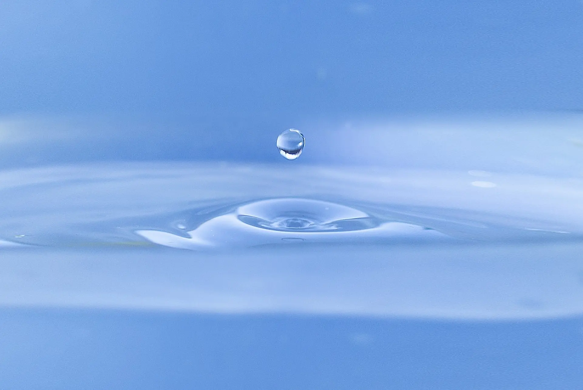 water drop, toilet, nature, gout, water, fresh, rain, bokeh, water drop, water drop, toilet, toilet, toilet, water, water, water, water, water, rain, rain