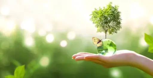 adoucisseur eau ecologique